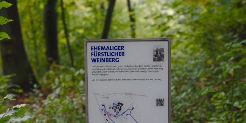 Fürstlicher Weinberg