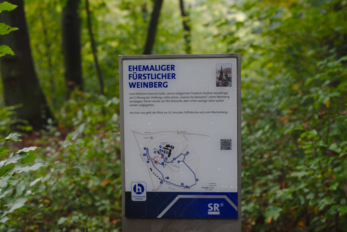 Fürstlicher Weinberg