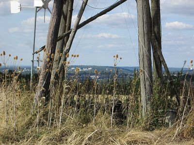 Landschaftsschutzgebiet Ransbacher Berg (Gemeindewald Fechingen)