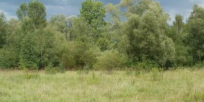 St. Arnualer Wiesen