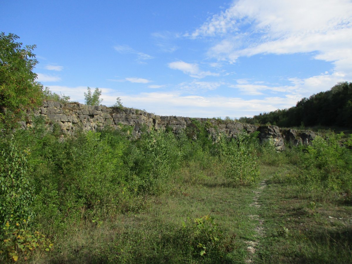 Steinbruch am Birzberg