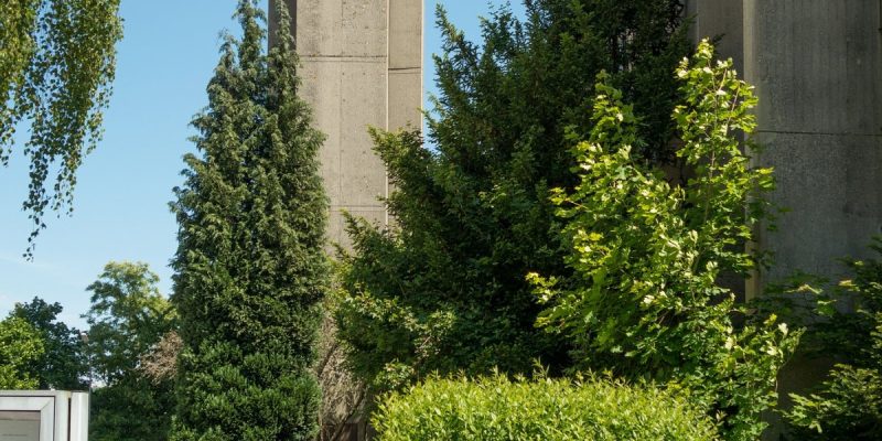 St.Pius