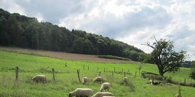 Wisch- Und Wogbachtal