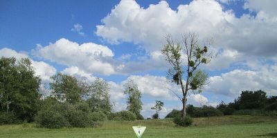 Wusterhang und Beierwies bei Fechingen