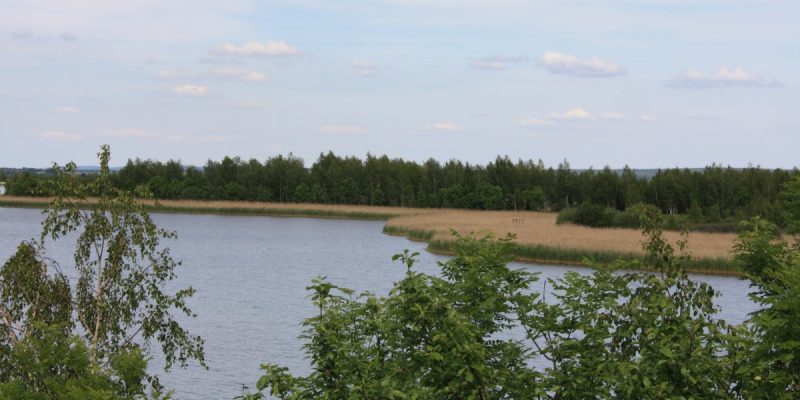 Heerter See und Waldgebiet Heerter Strauchholz