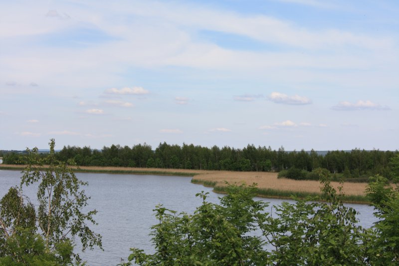 Heerter See und Waldgebiet Heerter Strauchholz