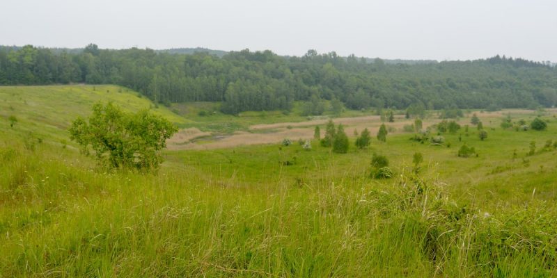 Tagebau Haverlahwiese