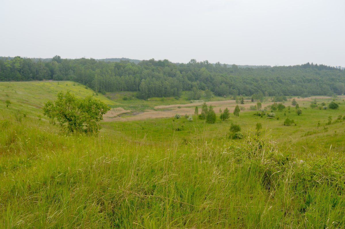 Tagebau Haverlahwiese