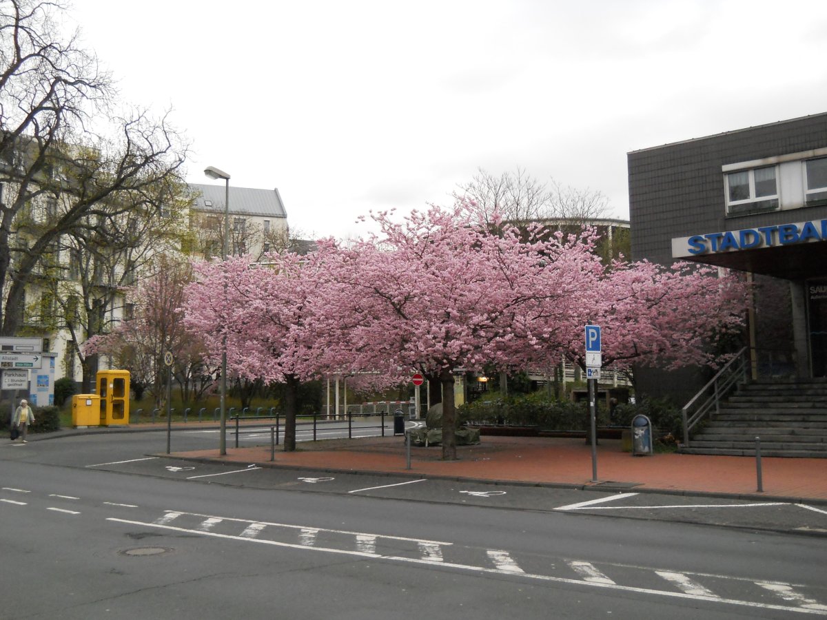 Denkmäler Zentrum