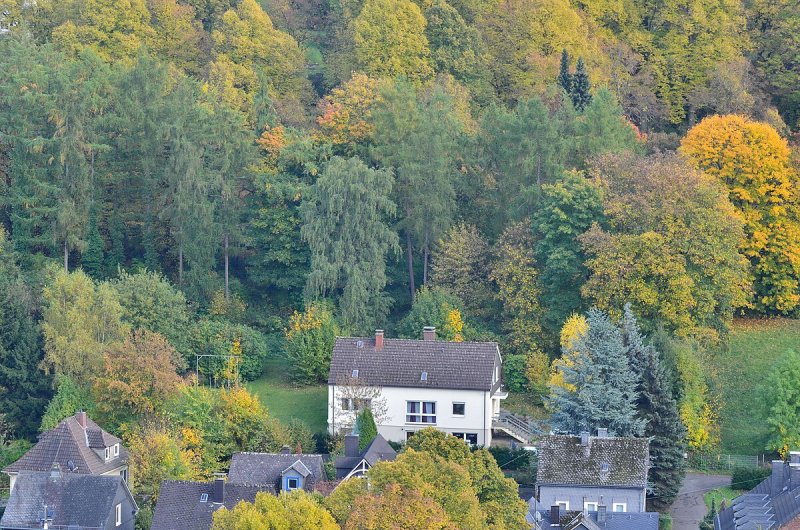 Gemeinschaft Entschieden für Christus