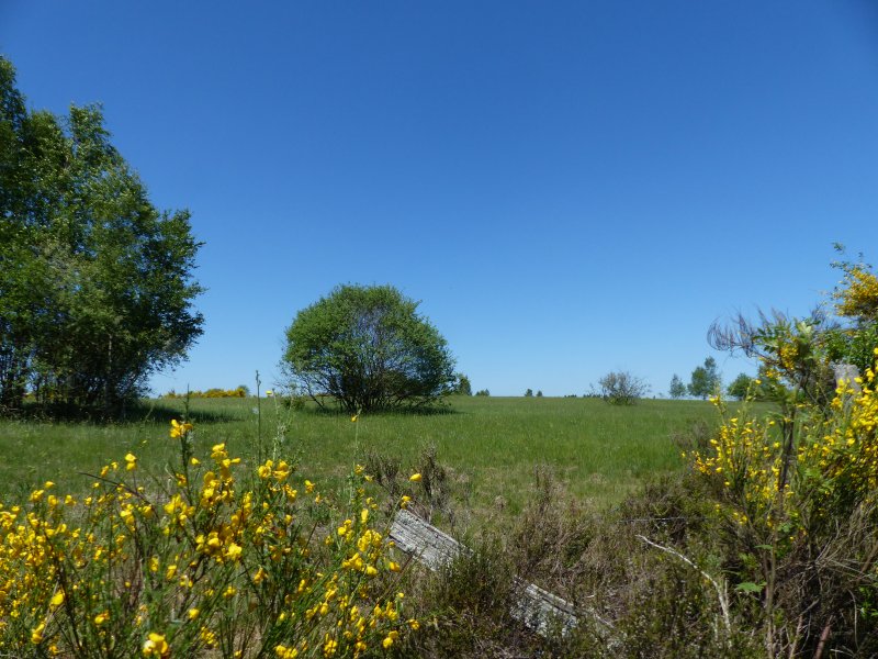 Heiden und Magerrasen Trupbach