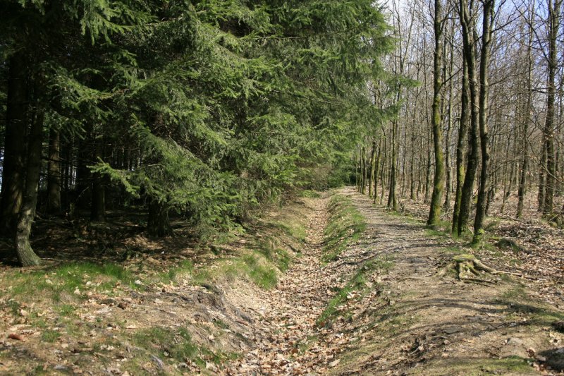 Landwehr Kölsches Heck