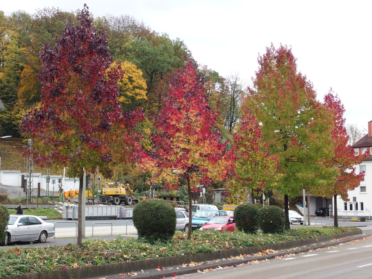 Urchristliche Gemeinde