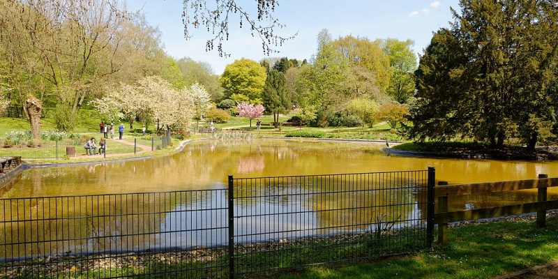 Botanischer Garten Solingen