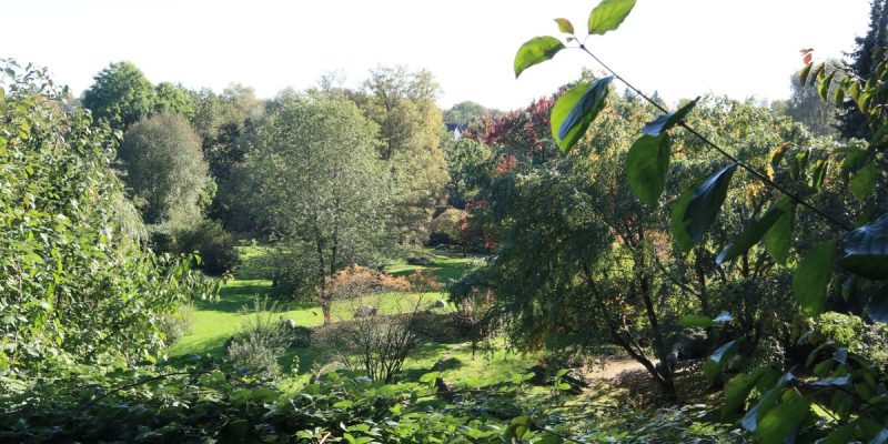Gustav-Coppel-Park