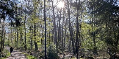 Krüdersheide und Götsche