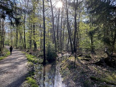 Krüdersheide und Götsche