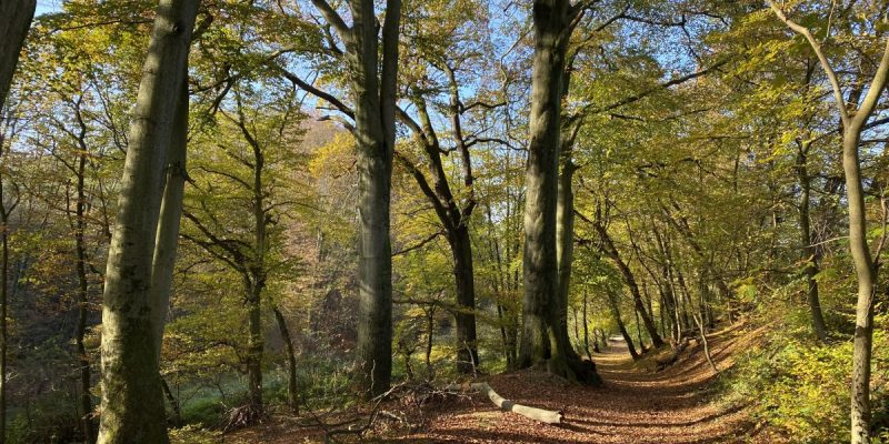 Mittleres Ittertal und Baverter Bachtal