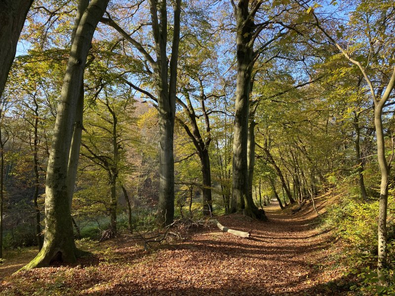 Mittleres Ittertal und Baverter Bachtal