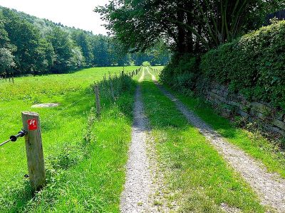 Neanderlandsteig Zuweg Bahnhof Vogelpark