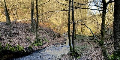 Oberes Sengbachtal