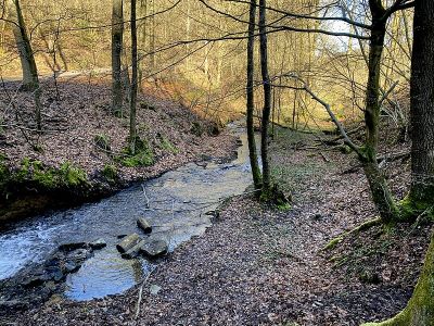 Oberes Sengbachtal