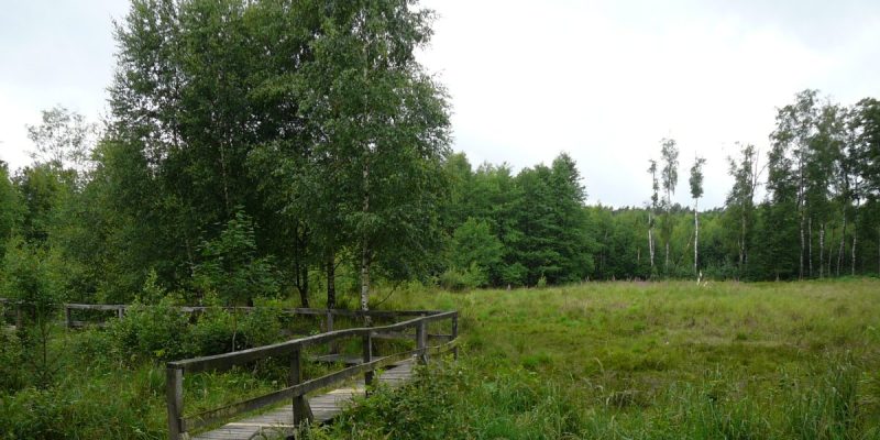 Ohligser Heide