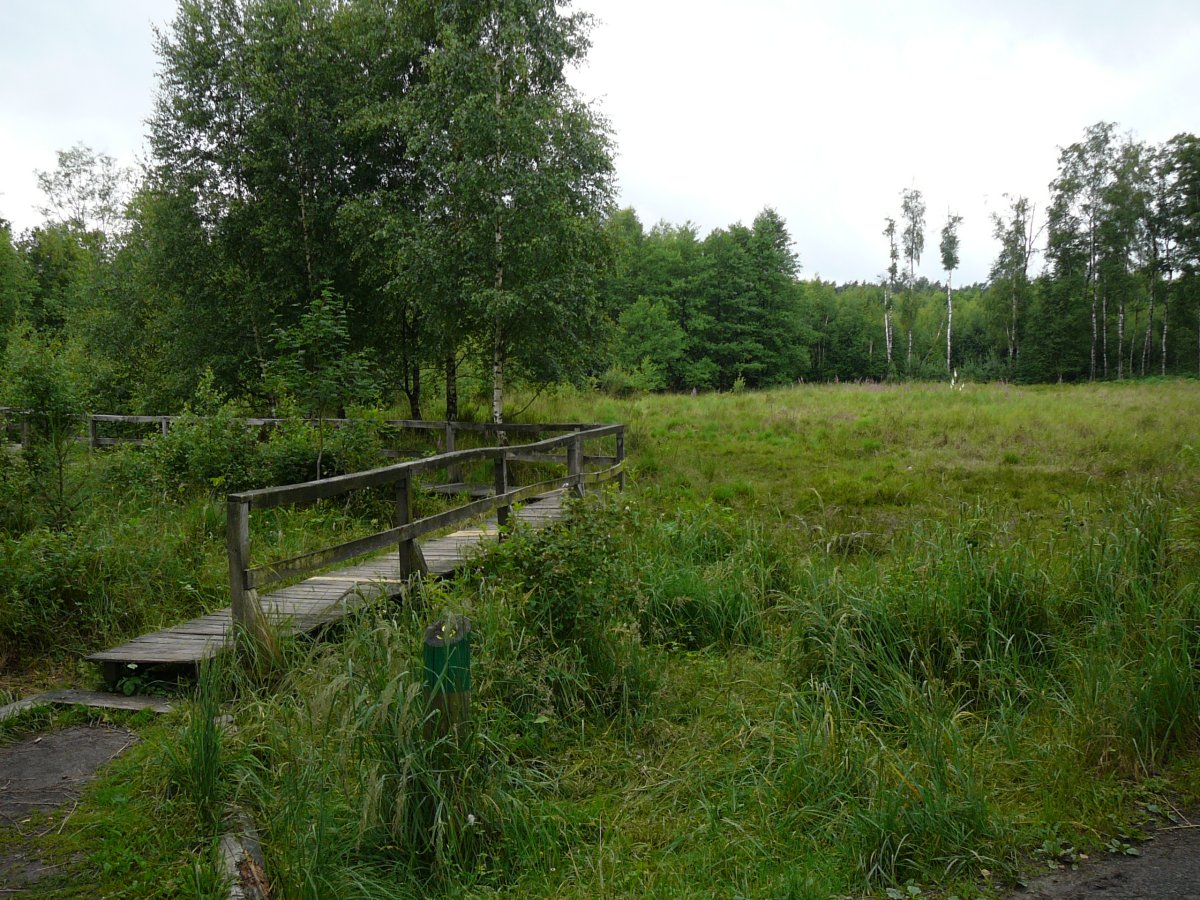Ohligser Heide