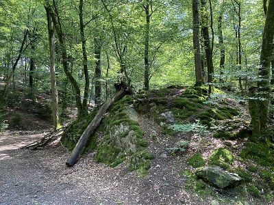 Sengbachtal