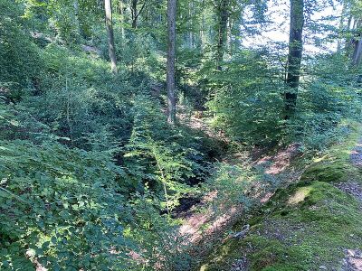 Siefental nördlich Oberschmitte