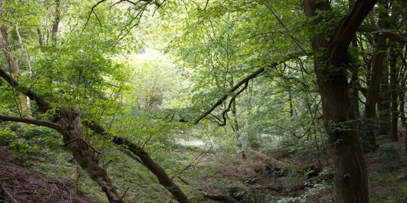 Steinbachtal mit Teufelsklippen