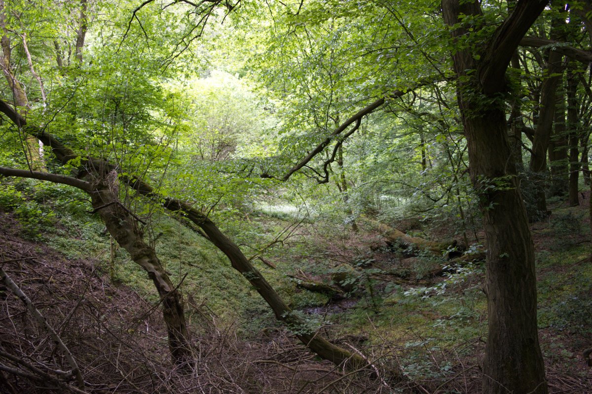Steinbachtal mit Teufelsklippen