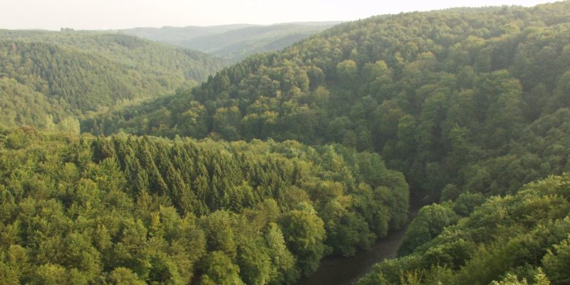 Tal- und Hangbereiche der Wupper mit Seitenbächen