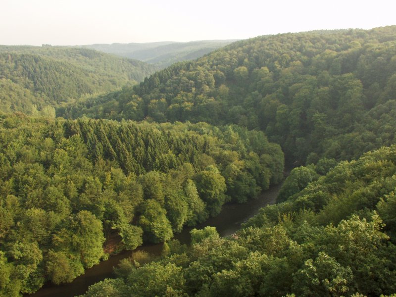 Tal- und Hangbereiche der Wupper mit Seitenbächen