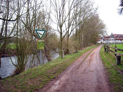 Wald bei Müllerhof