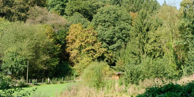Weinsberger Bachtal