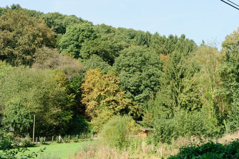 Weinsberger Bachtal