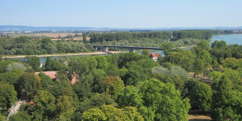 Domgarten