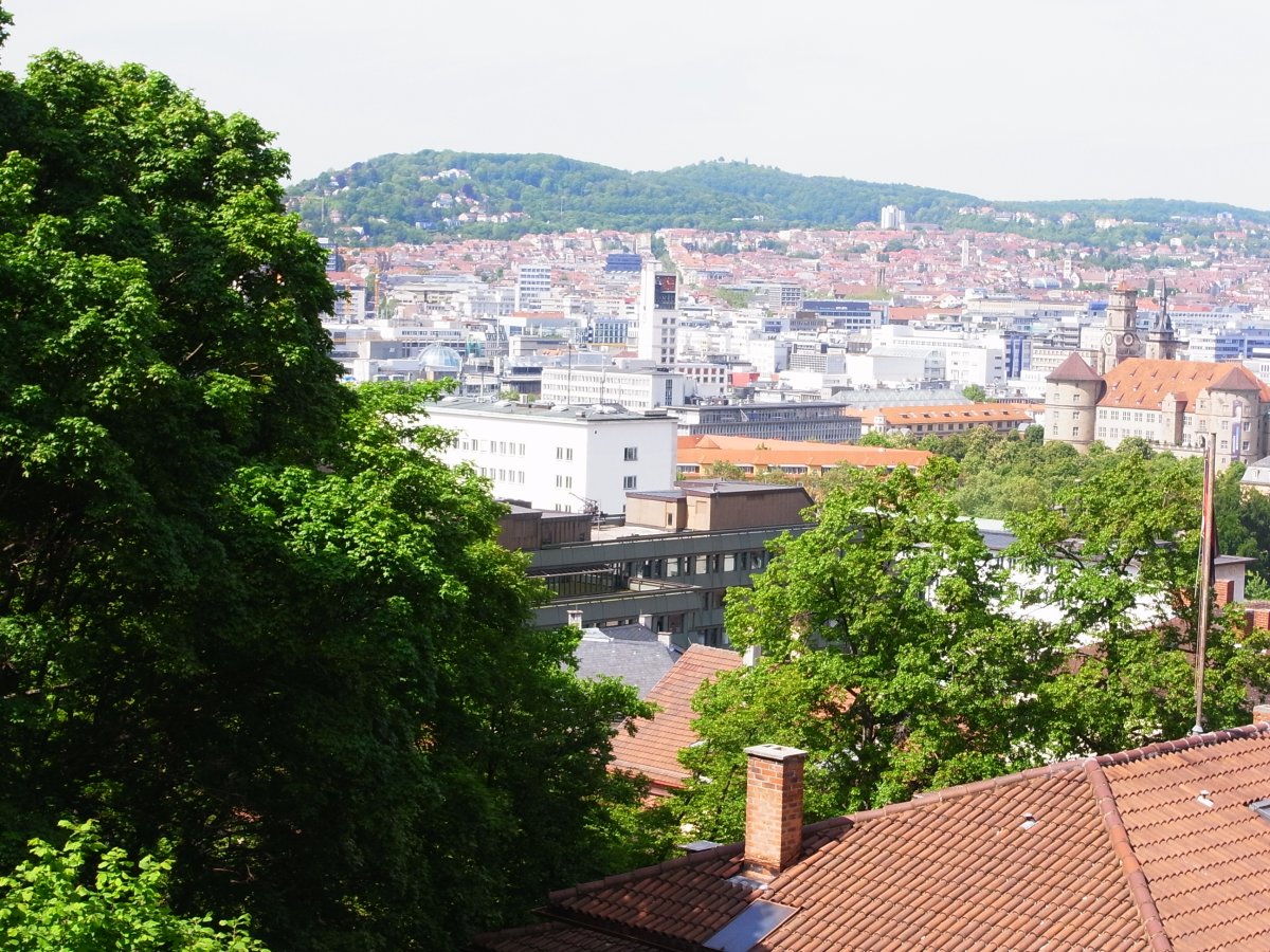 Birkenkopf