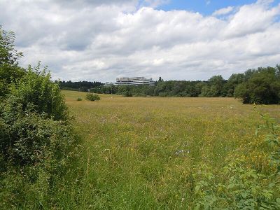 Büsnauer Wiesental