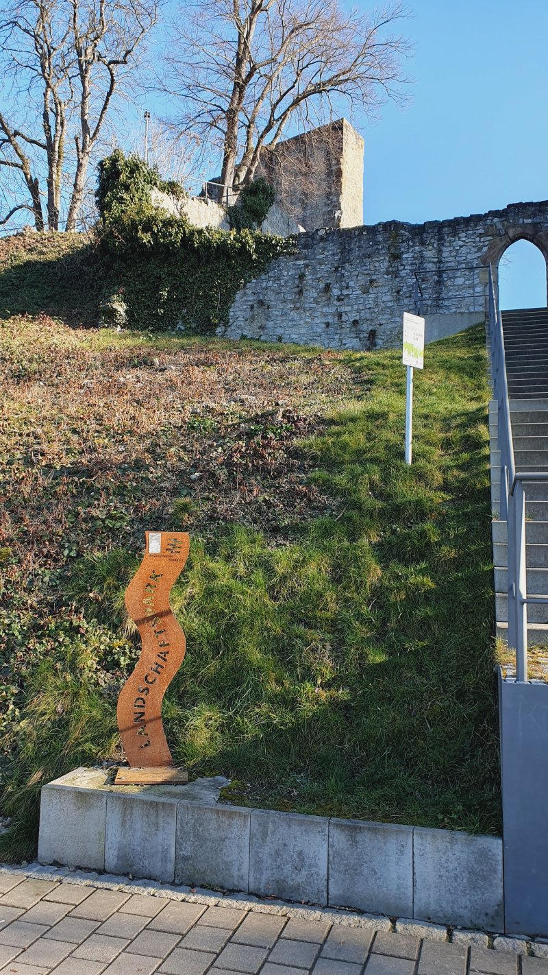 Burg Hofen