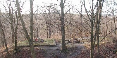 Dischinger Burg