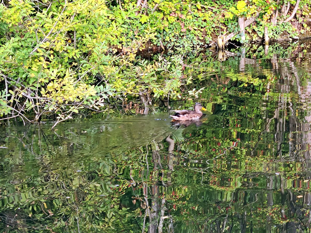 Holzstele zur ehem. Wasserburg Rohr