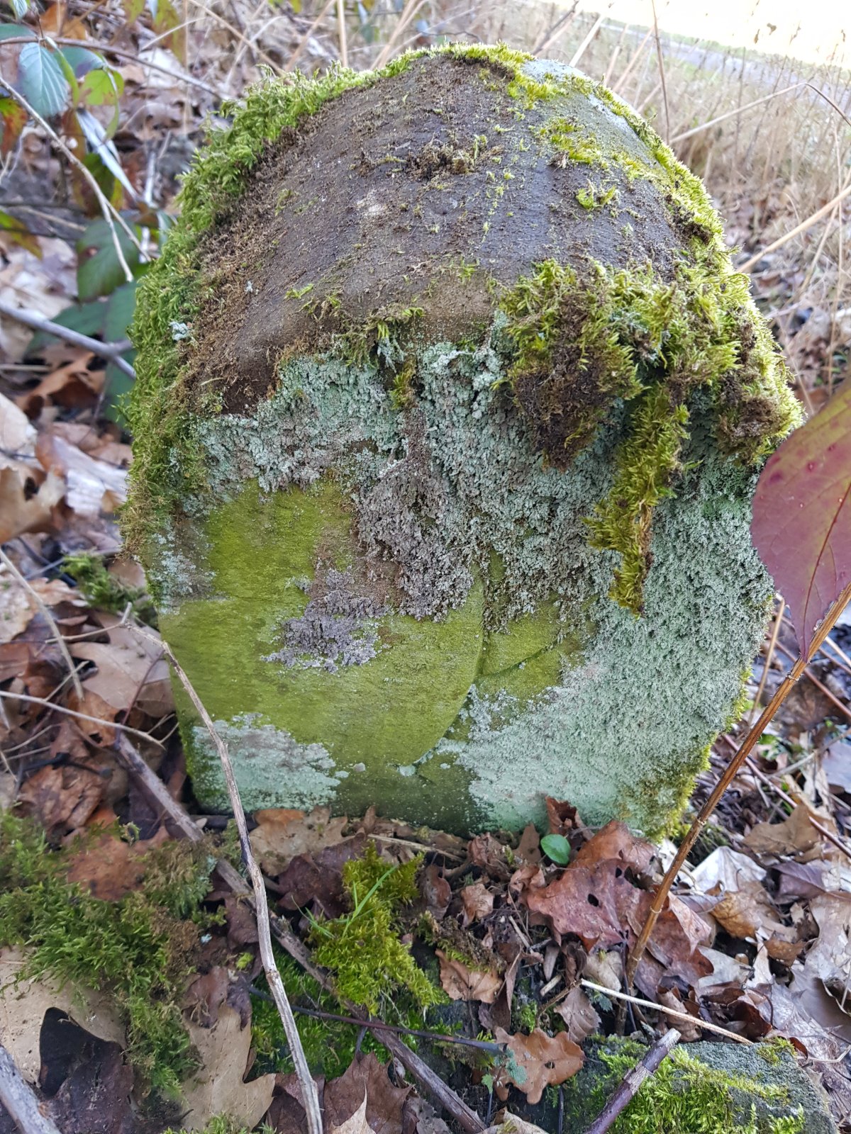 Wegstein