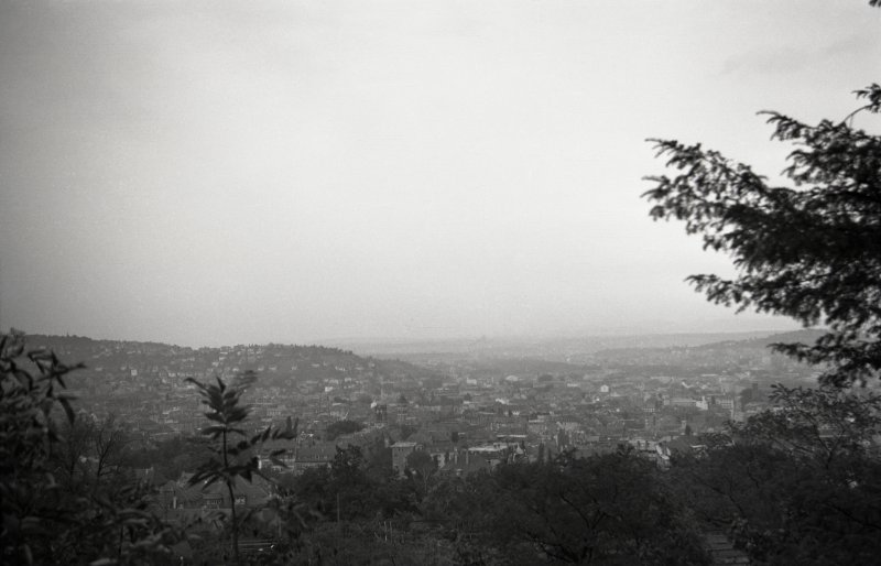 Wilhelm-Charlotten-Blick
