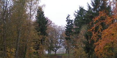 Franzensknüppchen