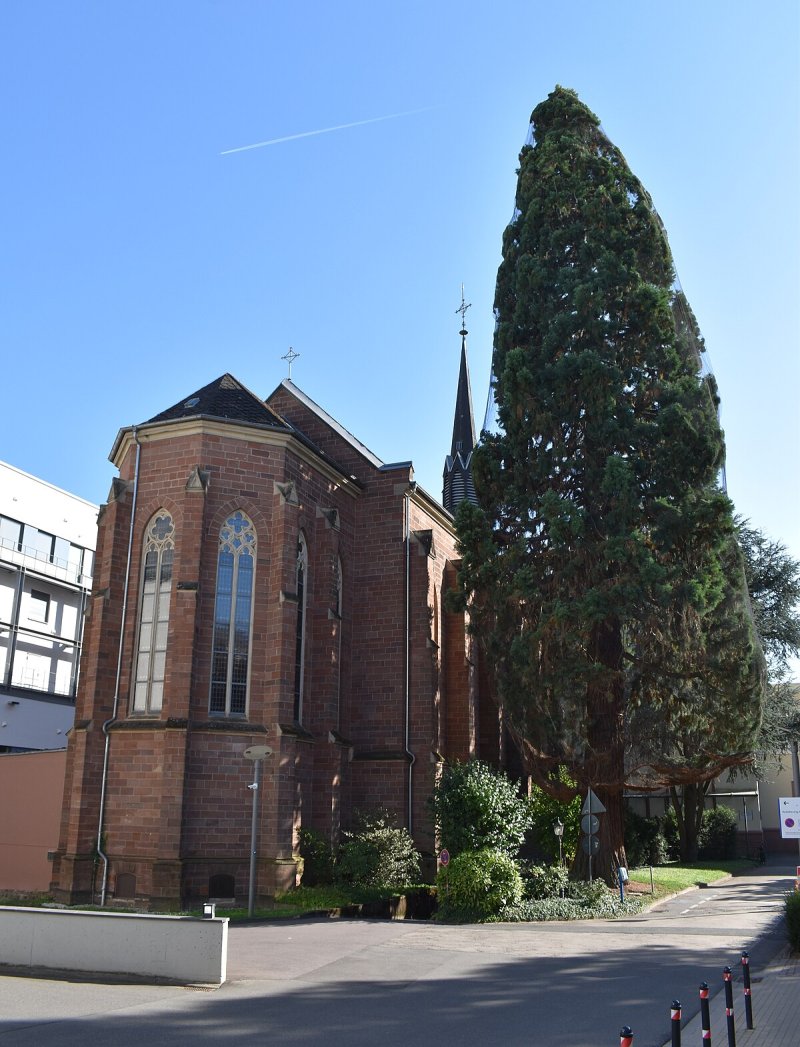 Kloster- und Krankenhauskirche Brüderkrankenhaus Trier