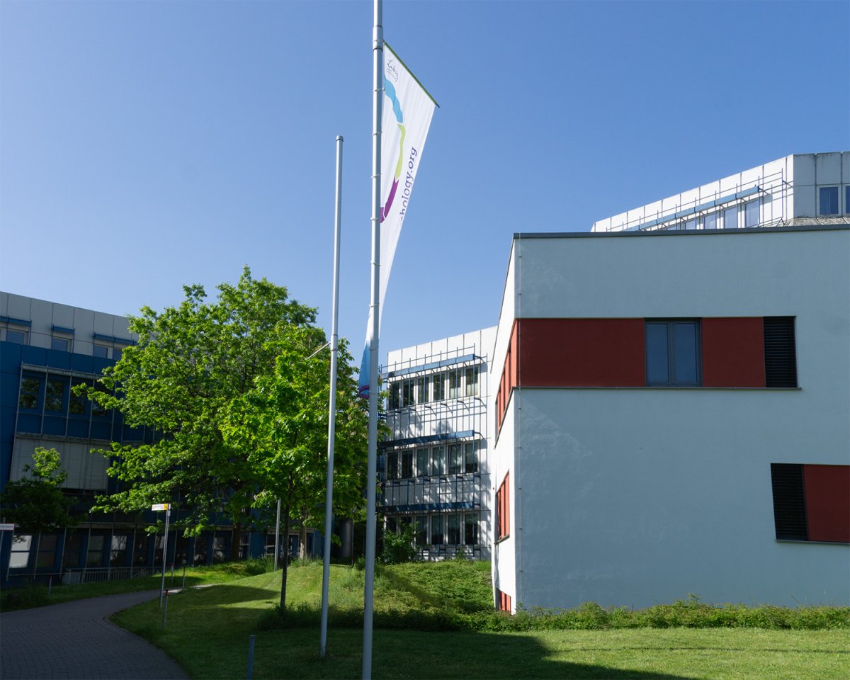 Leibniz-Institut für Psychologie (ZPID)