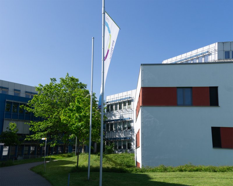 Leibniz-Institut für Psychologie (ZPID)