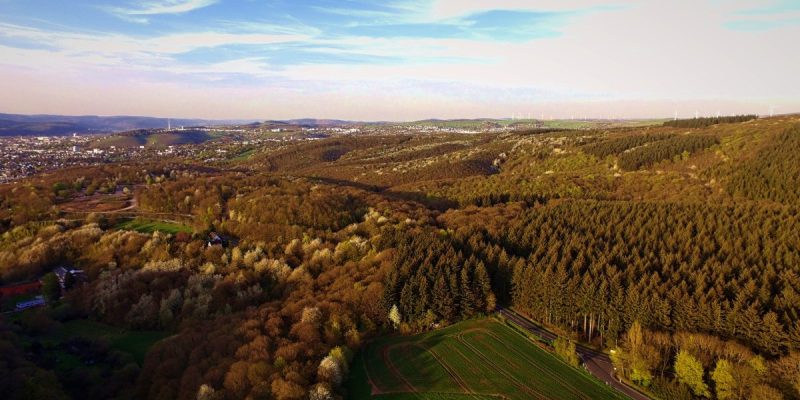Mattheiser Wald